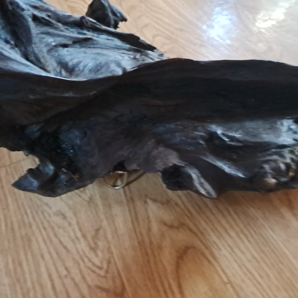 Bogwood from S. Louisiana 